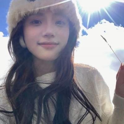 高速路上一只猫